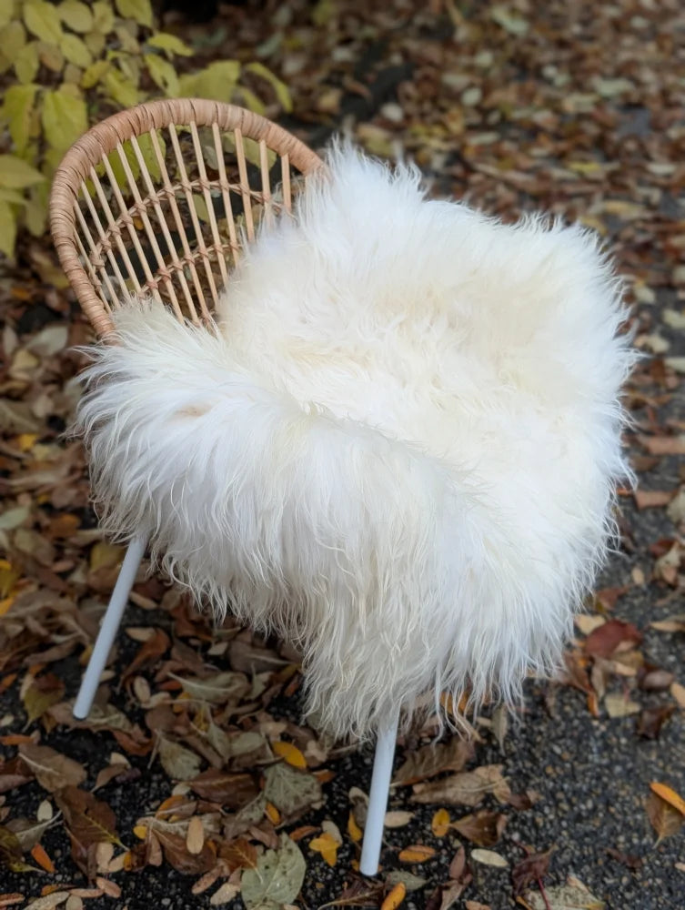 White fluffy long wool icelandic sheepskin throw draped over wicker chair ice35 52 x 32 inches