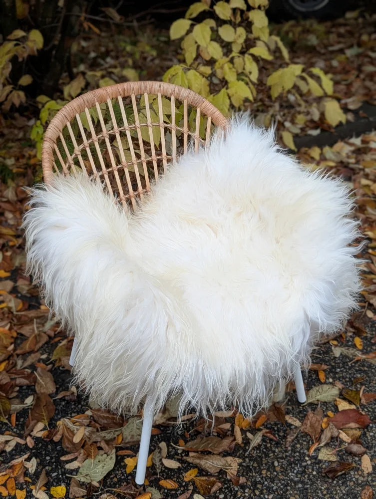 White fluffy long wool icelandic sheepskin throw draped over a wicker chair for cozy decor
