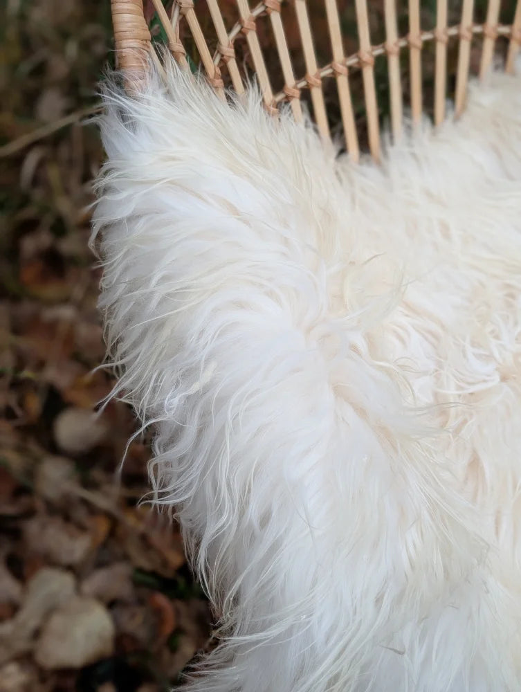 A plush off-white wool icelandic sheepskin throw with long soft fibers draped over a woven wicker chair