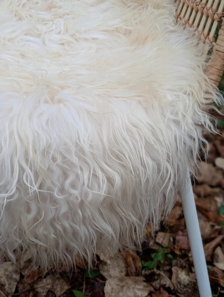 A plush off-white long wool icelandic sheepskin with curly fibers draped over a woven chair