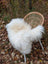 Fluffy white wool icelandic sheepskin rug draped over wicker chair showcasing long wool icelandic texture