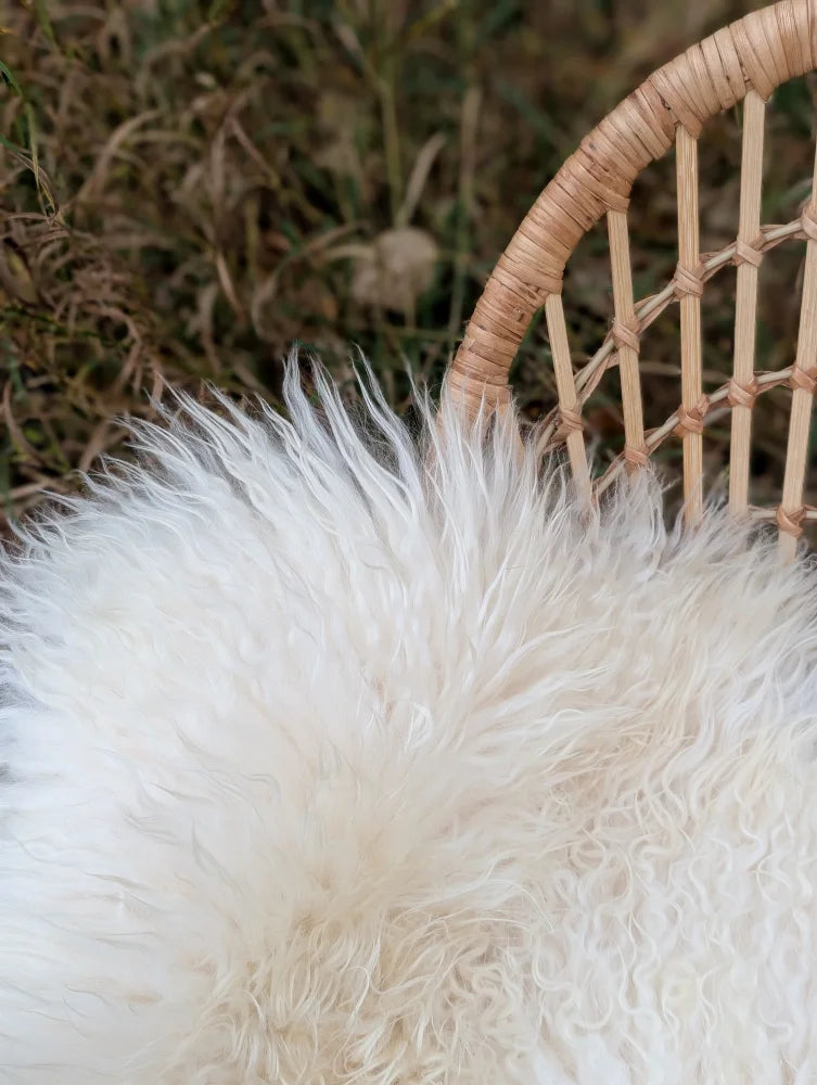 White fluffy curly long wool icelandic sheepskin rug on woven wicker chair ice#5 48 x 31 inches