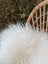 White fluffy curly long wool icelandic sheepskin rug on woven wicker chair ice#5 48 x 31 inches