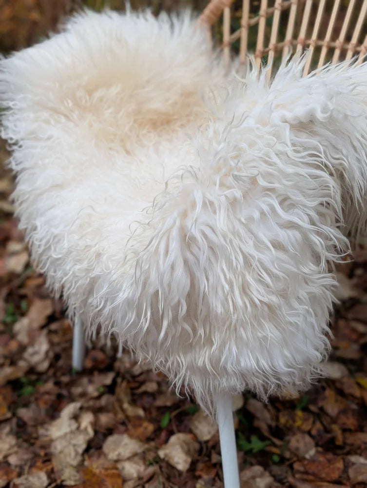 A plush off-white long wool icelandic sheepskin throw draped over a woven chair for cozy decor