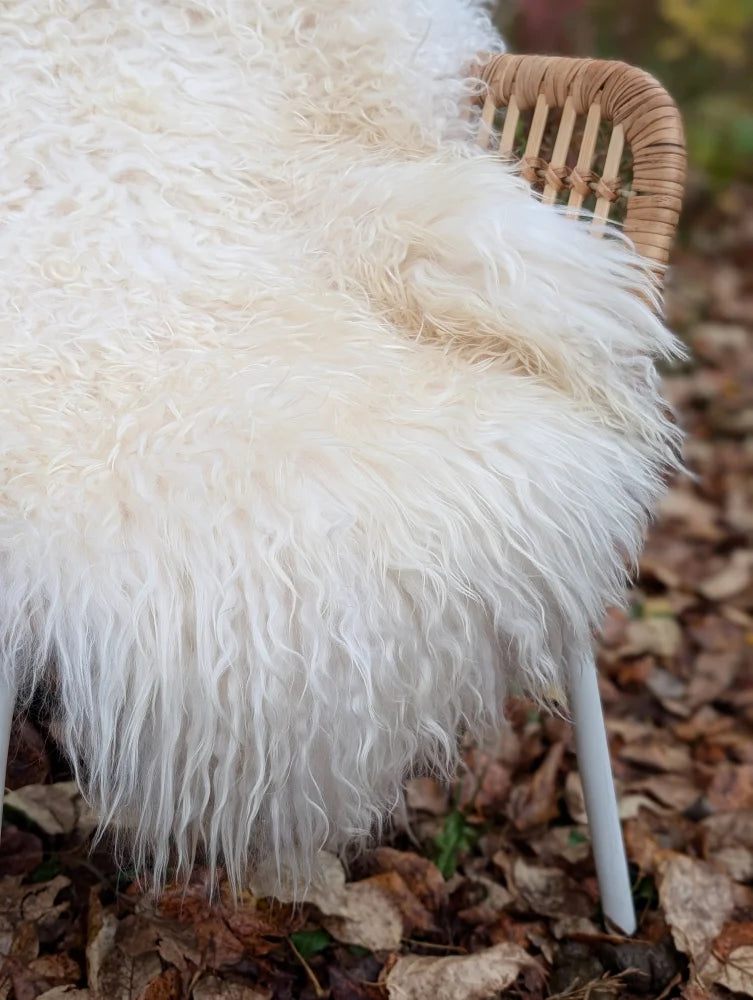 A plush off-white long wool icelandic sheepskin throw draped over a wicker chair for cozy decor