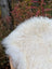 A plush off-white wool icelandic sheepskin rug with long curly fibers ideal for cozy home decor