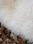 A plush off-white wool icelandic sheepskin rug with a soft curly texture perfect for cozy decor