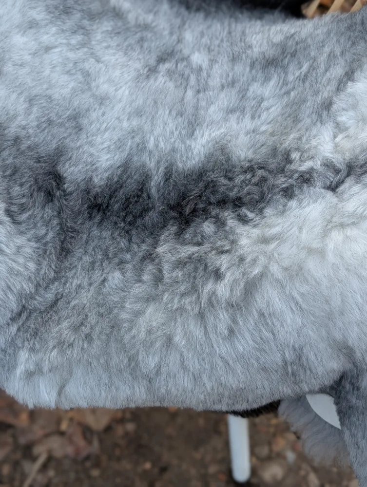A soft fluffy gray long wool icelandic sheepskin blanket with natural mottled texture 53 by 32 inches