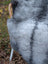 Gray faux fur chair with woven wicker armrest white plastic legs made from long wool icelandic sheepskin