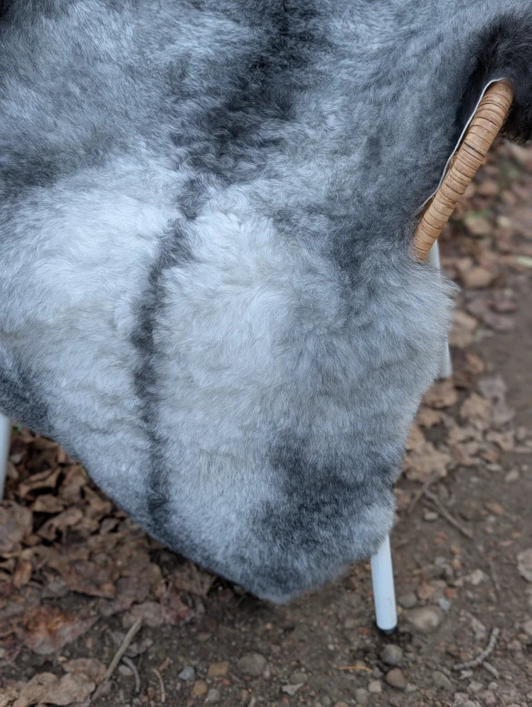 A soft fluffy gray icelandic sheepskin rug with long wool icelandic texture and natural shade variations