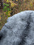 A plush soft gray icelandic sheepskin rug with natural uneven texture and long wool icelandic variations