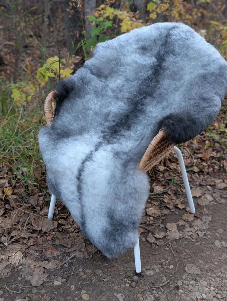 A plush gradient gray icelandic sheepskin rug draped over a wicker chair with white metal legs for cozy decor