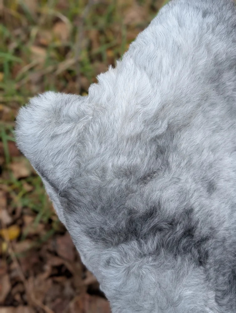 A plush light gray faux fur teddy bear ear with soft curly texture on a long wool icelandic sheepskin rug natural grey