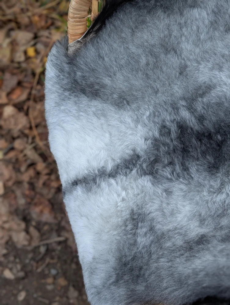 A soft grayish-blue massive icelandic sheepskin blanket with natural long wool icelandic texture measuring 53 by 32 inches