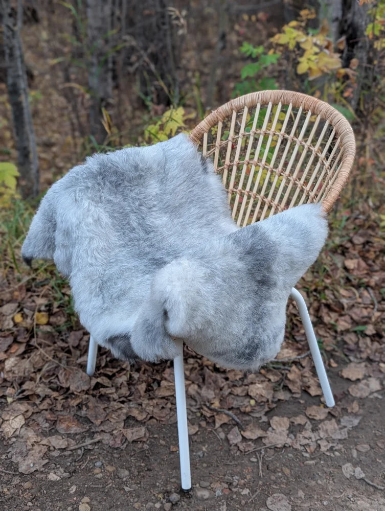 A soft natural grey icelandic sheepskin rug with long wool icelandic draped over a wicker chair with white metal legs