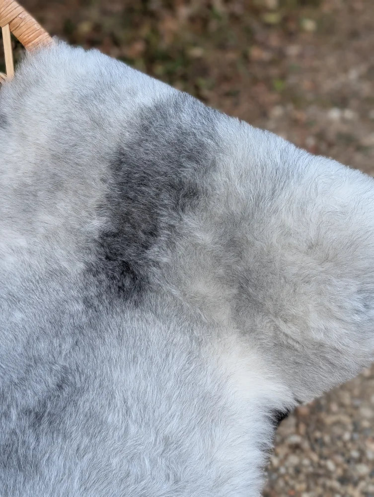A soft fluffy natural grey massive icelandic sheepskin rug with long wool icelandic texture 53 by 25 inches