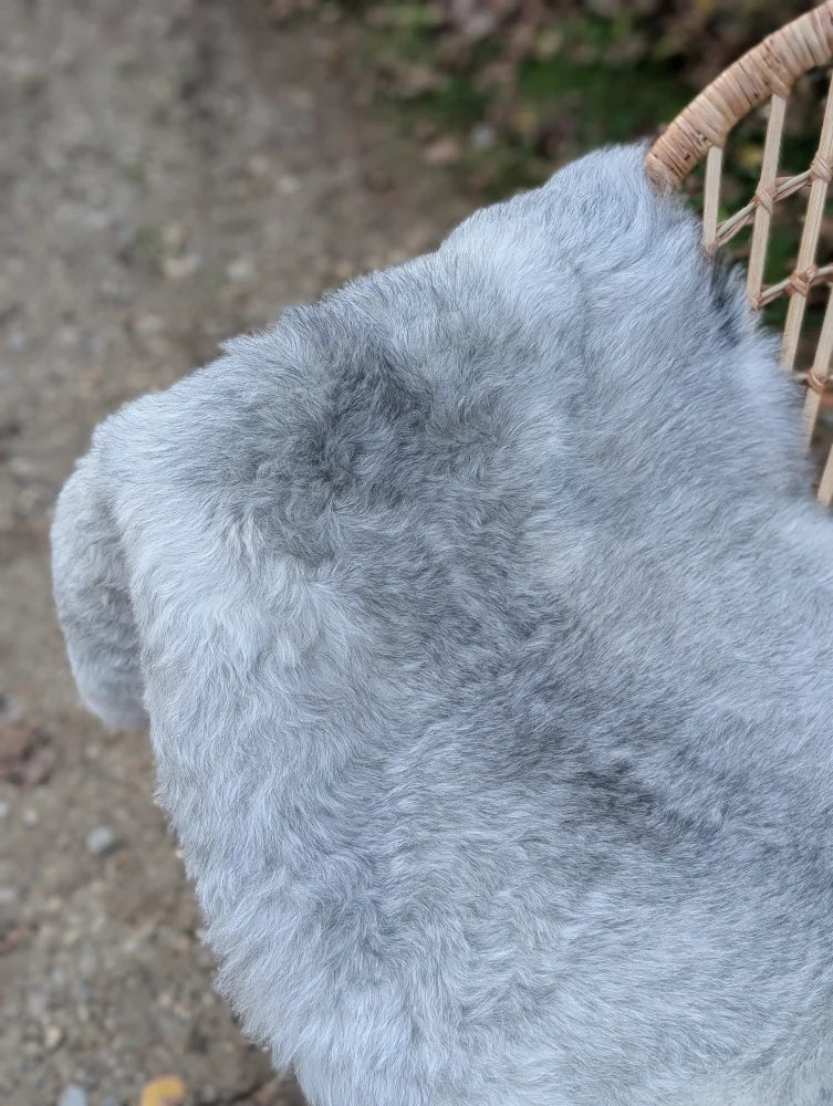A soft light gray icelandic sheepskin throw draped over a wicker chair showcasing long wool icelandic texture