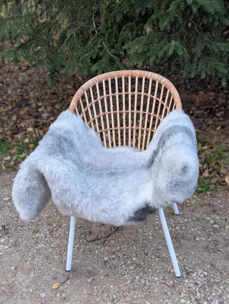 A soft light gray long wool icelandic sheepskin throw draped over a wicker chair with white metal legs