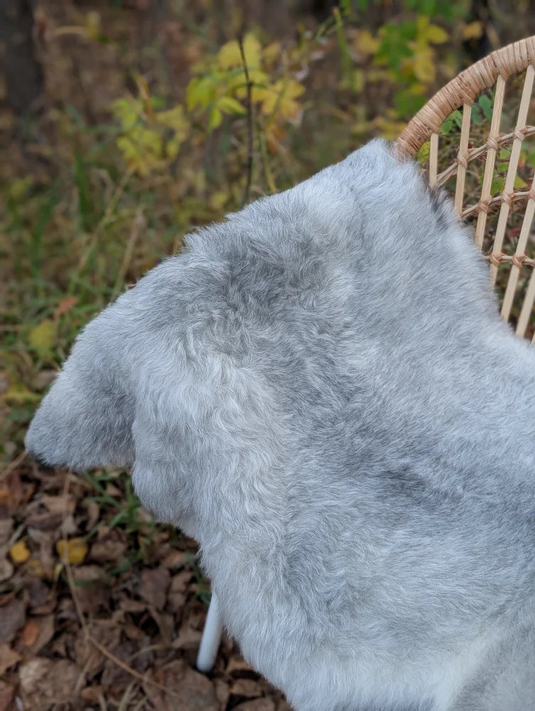 A plush light gray long wool icelandic sheepskin blanket draped over a wicker chair for cozy warmth