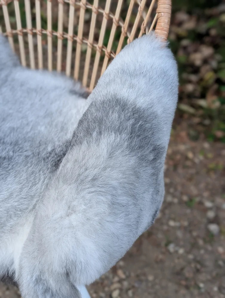 A soft gray long wool icelandic sheepskin blanket draped over a wicker chair for cozy comfort