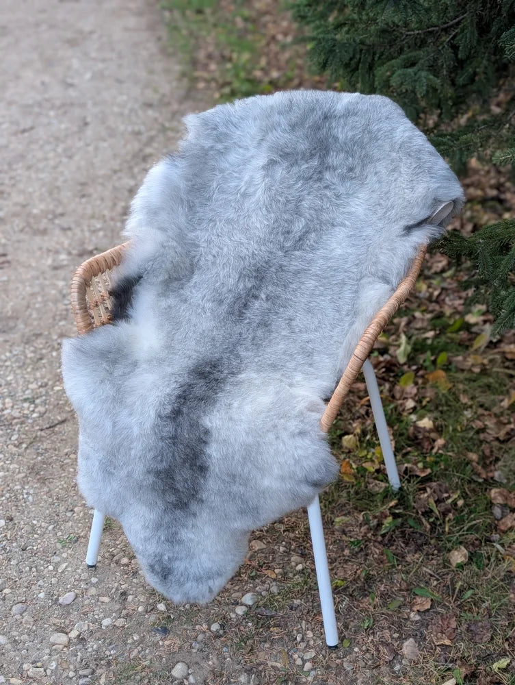 A light gray long wool icelandic sheepskin rug with natural fluffy texture draped over a wicker chair