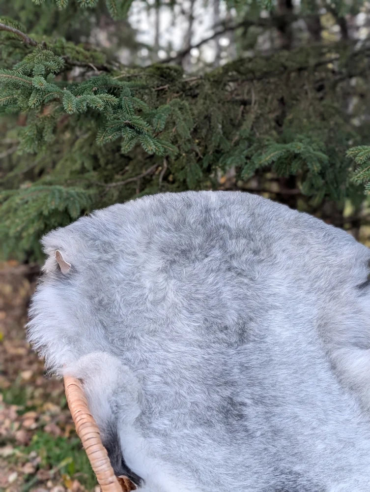A fluffy gray hamster nestled in a woven basket on a natural grey long wool icelandic sheepskin rug