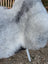 A soft fluffy gray and white long wool icelandic sheepskin rug with a natural mottled pattern, 53 by 25 inches
