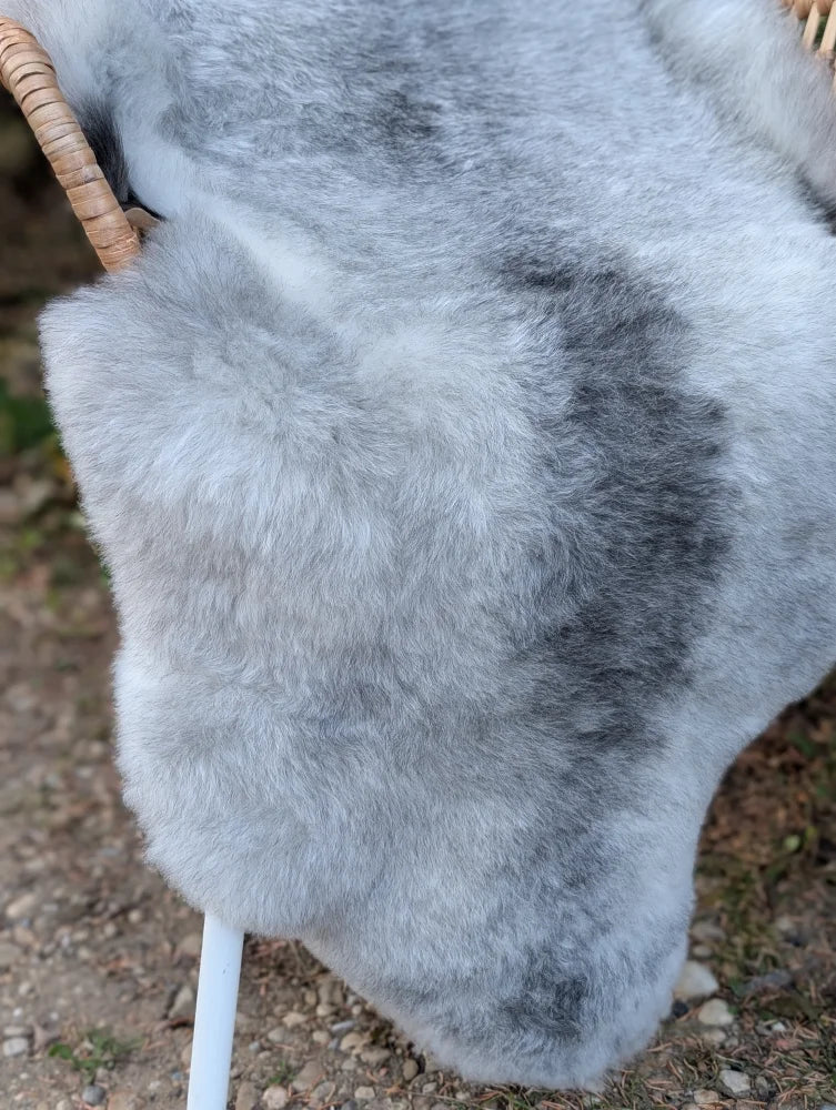 A soft fluffy natural grey icelandic sheepskin rug with long wool icelandic texture measuring 53 by 25 inches