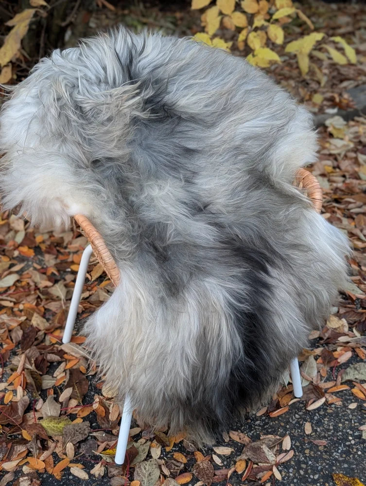 A plush long wool icelandic sheepskin rug in natural grey draped over a wicker leg chair for cozy decor
