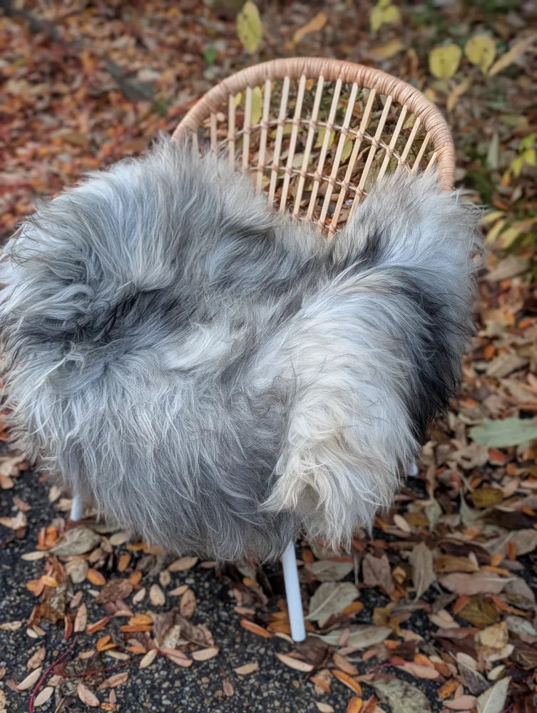 A plush natural grey icelandic sheepskin throw with long wool draped over a wicker chair for cozy style