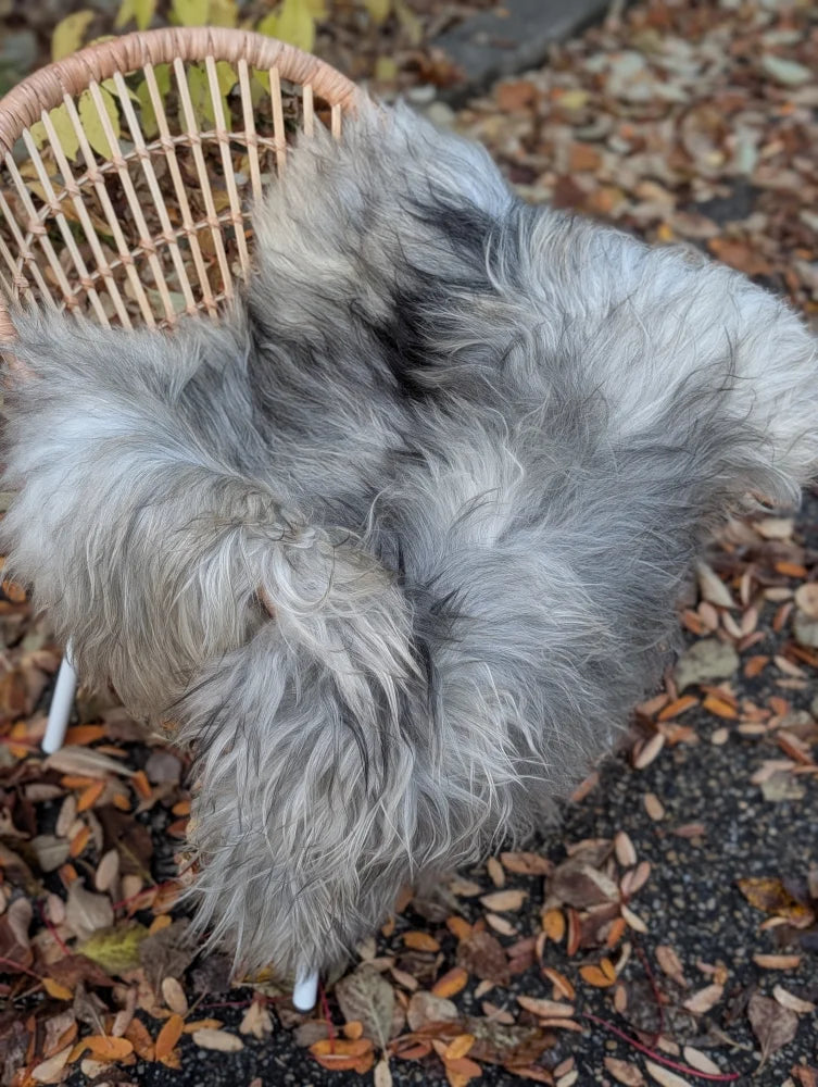 A plush long wool icelandic sheepskin throw in natural grey draped over a wicker chair for cozy decor