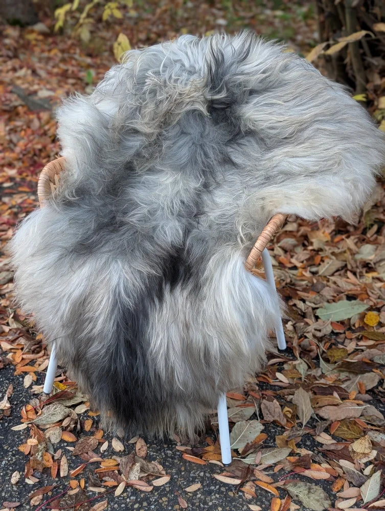 A plush long wool icelandic sheepskin rug in natural grey draped over a chair with woven wooden arms