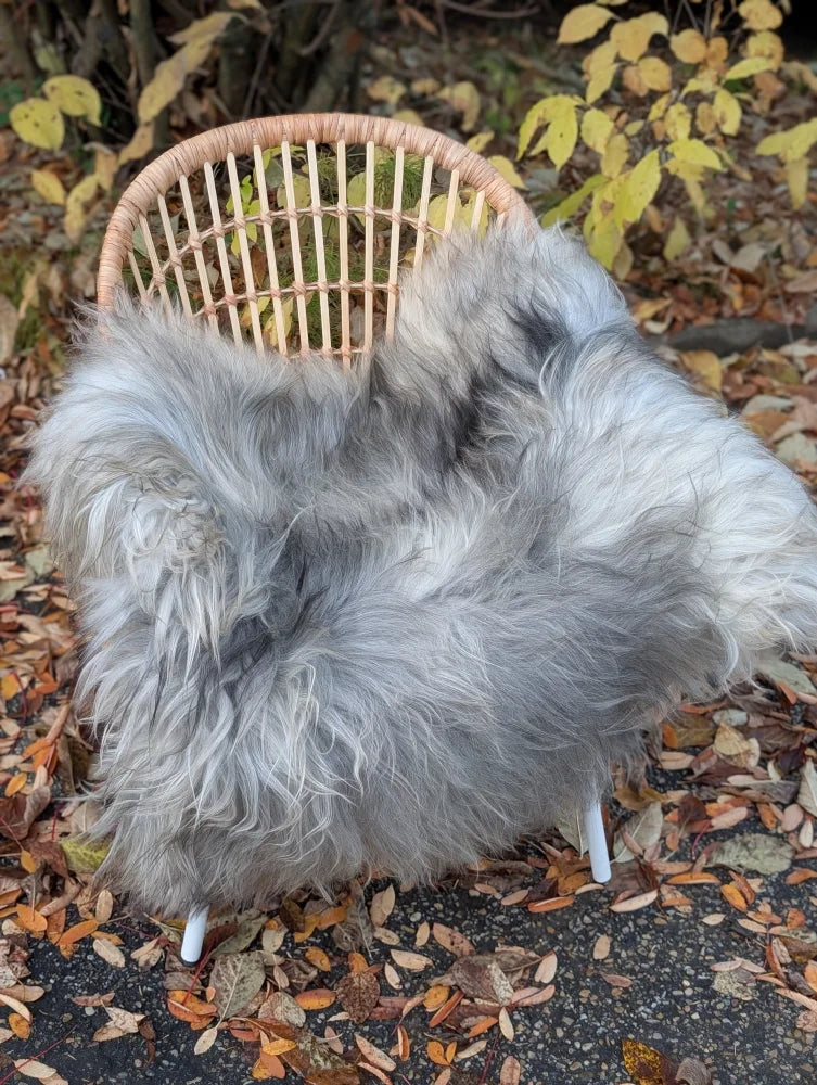 A plush long wool icelandic sheepskin throw in natural grey draped over a woven wicker chair