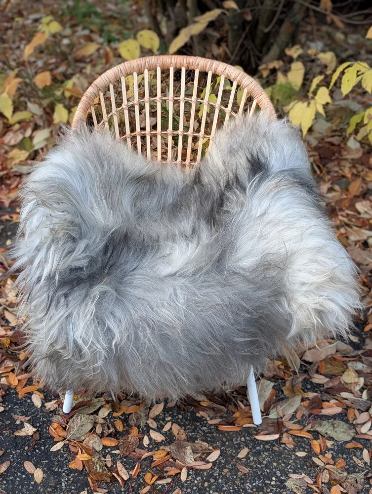 A plush long wool icelandic sheepskin rug in natural grey draped over a wicker chair for cozy decor