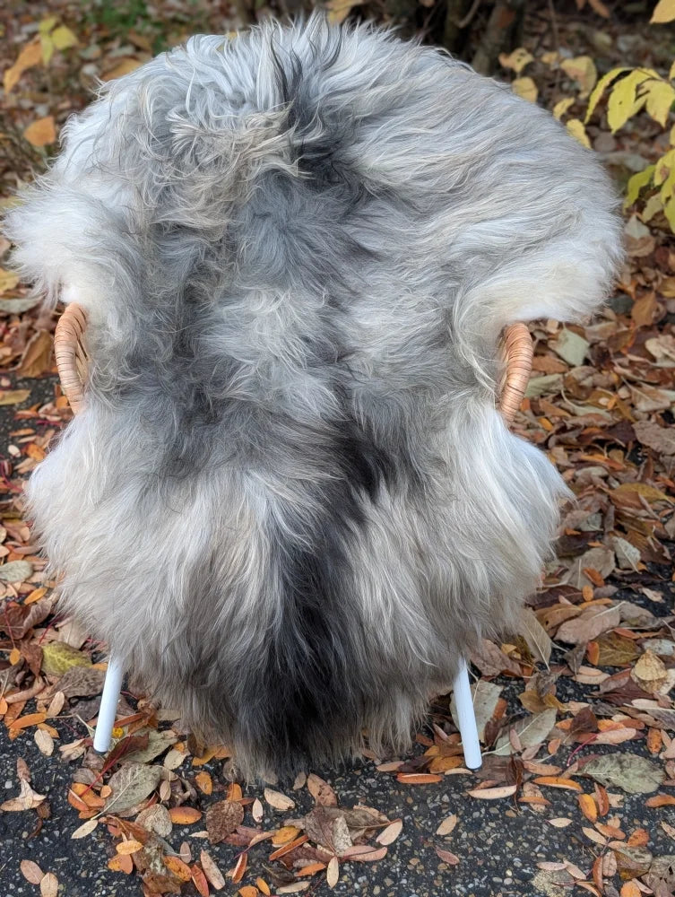 A plush long wool icelandic sheepskin rug in natural grey draped over a wicker chair with white legs