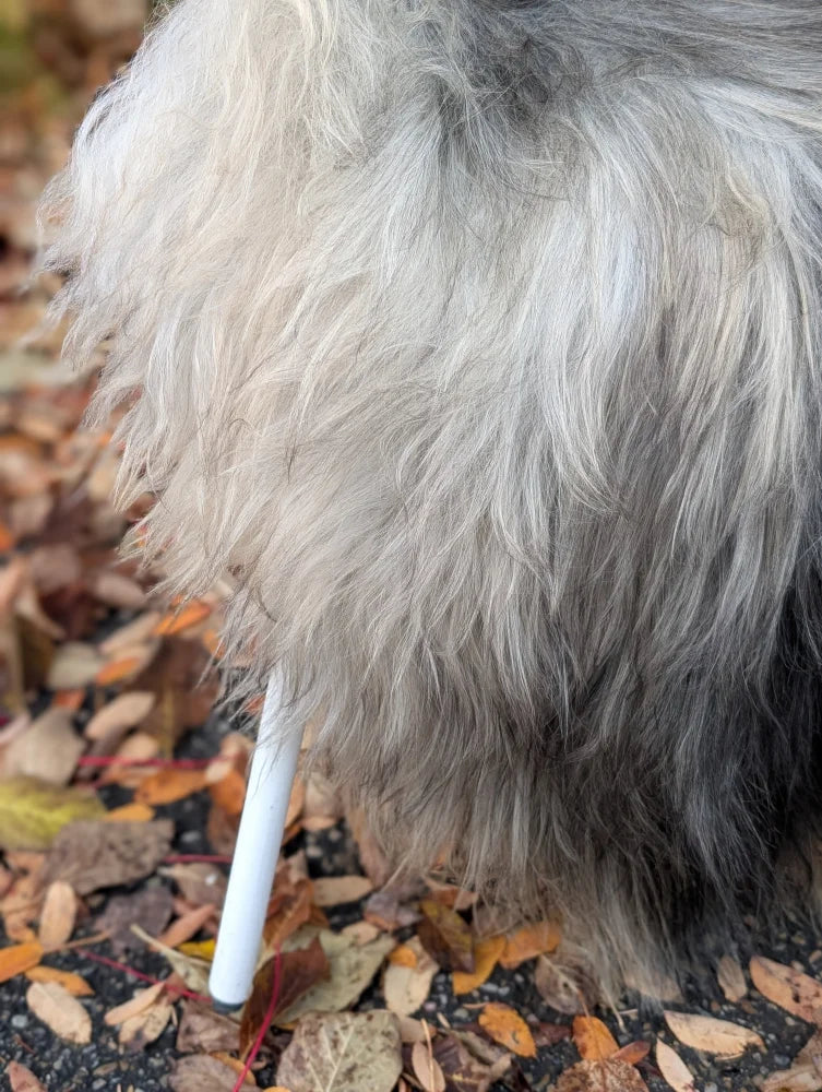 A white cylinder sticks out from the thick shaggy long wool of a natural grey icelandic sheepskin rug