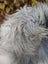 A massive icelandic sheepskin in natural grey with long wool showing a fluffy gray and white dog look alike