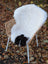 White icelandic sheepskin rug with a black patch draped over wicker chair featuring short wool texture