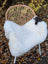 White icelandic sheepskin throw with a black patch on the shoulder draped over a wicker chair showcasing short wool texture