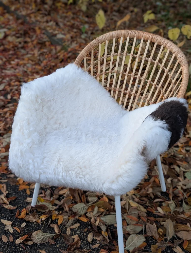 White icelandic sheepskin throw with a black patch draped over a wicker chair featuring short wool texture