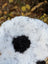 A plush white and black spotted icelandic sheepskin rug with short wool and fluffy texture measuring 40 by 27 inches