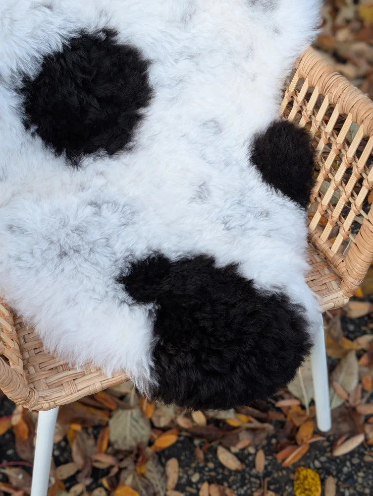 White and black fluffy short wool icelandic sheepskin with playful panda design draped over wicker chair
