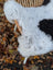 A plush cow-shaped icelandic sheepskin blanket featuring short wool in soft white and black spots