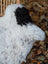 A fluffy white and black dog on a medium spotted icelandic sheepskin rug with thick curly wool