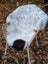White curly icelandic sheepskin rug with black patch draped on wicker chair medium spotted icelandic sheepskin