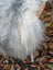 A fluffy long-haired dog with gray and white fur lying on a massive natural grey wool icelandic sheepskin rug