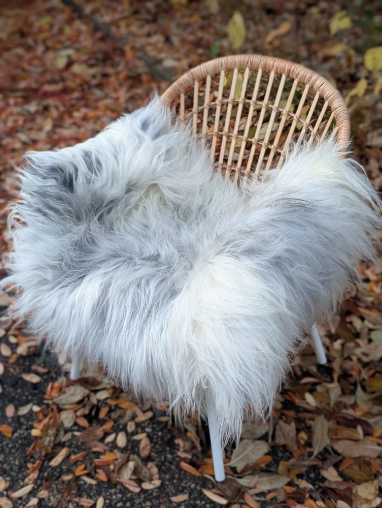 A plush long wool icelandic sheepskin throw in natural grey draped over a wicker chair for cozy decor