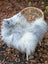 A plush long wool icelandic sheepskin throw in natural grey draped over a wicker chair for cozy decor