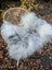 A plush white and gray gradient icelandic sheepskin wool throw draped over a wicker chair with long wool texture