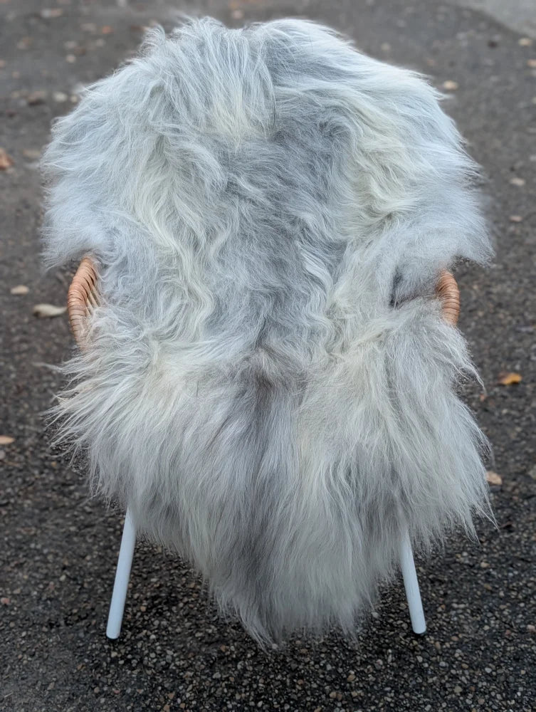 A plush long wool icelandic grey sheepskin rug draped over a chair with woven wicker arms and white metal legs
